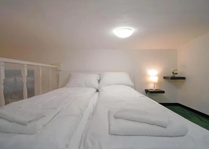 V27 Vadasz Apartament